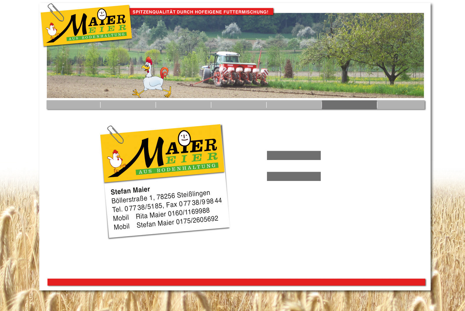 maierkontakt